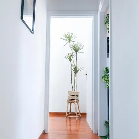 Il Corso ベッド・アンド・ブレックファスト